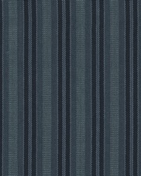 Silverton Stripe Indigo by   