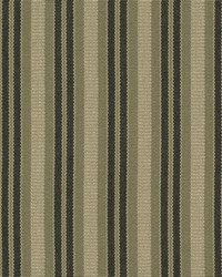 Silverton Stripe Tumbleweed by   