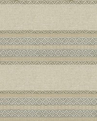 Arroyo Stripe Fossil by   