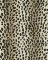 Cheetah Path Savanna by  P K Lifestyles 