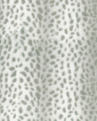 Cheetah Path Cloud by  P K Lifestyles 