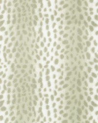 Cheetah Path Fawn by  P K Lifestyles 