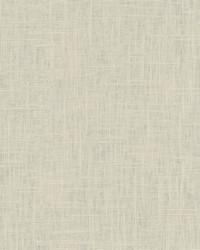 Chester Parchment by   