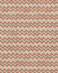 Tuban Coral by  S Harris 