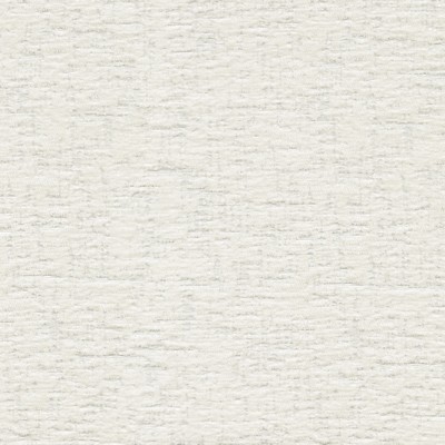 P K Lifestyles Lushscape Coconut Conserve I 412301 White Multipurpose Recylced  Blend Fire Rated Fabric Solid Color Chenille  Fire Retardant Velvet and Chenille  Fabric