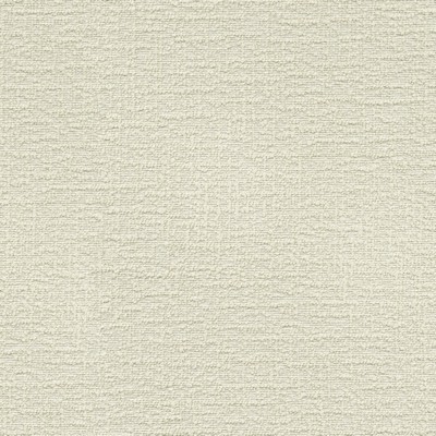 P K Lifestyles Cirrus Cream PKL Studio Spring 2038 412330 Beige Multipurpose Polyester Polyester Fire Rated Fabric High Performance Fire Retardant Upholstery  Solid Beige  Fabric