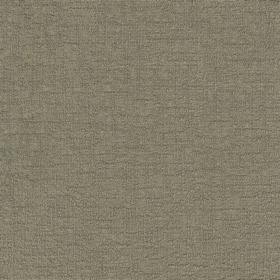 P K Lifestyles Cirrus Taupe PKL Studio Spring 2046 412338 Brown Multipurpose Polyester Polyester Fire Rated Fabric High Performance Fire Retardant Upholstery  Solid Brown  Fabric