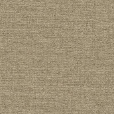 P K Lifestyles Cirrus Flax PKL Studio Spring 2047 412339 Brown Multipurpose Polyester Polyester Fire Rated Fabric High Performance Fire Retardant Upholstery  Solid Brown  Fabric