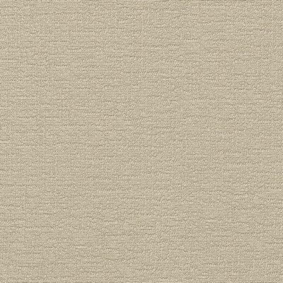 P K Lifestyles Cirrus Oat PKL Studio Spring 2048 412370 Beige Multipurpose Polyester Polyester Fire Rated Fabric High Performance Fire Retardant Upholstery  Solid Beige  Fabric