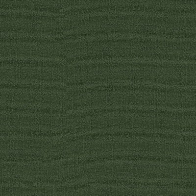 P K Lifestyles Cirrus Moss PKL Studio Spring 2053 412375 Green Multipurpose Polyester Polyester Fire Rated Fabric High Performance Fire Retardant Upholstery  Solid Green  Fabric