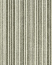 Crossing Stripe Shadow by   