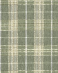 Malcolm Plaid Sage by  S Harris 