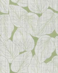 Philodendron Embroidery Celery by  Michael Jon Designs 