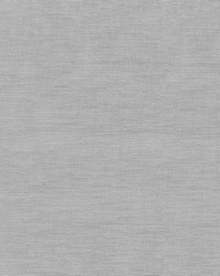 Iridescence Sheer Silver by   