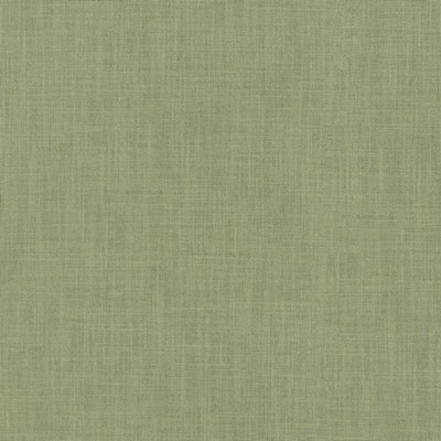 P K Lifestyles Millbrook Willow PKL Studio F23 470513 Green Multipurpose Cotton  Blend Fire Rated Fabric Heavy Duty CA 117  Solid Color  Solid Green  Fabric