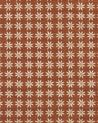 Daisy Embroidery Spice by   