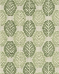 Fringe Leaf Celadon by   