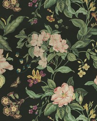 Garden Images Noir by  Casner Fabrics 