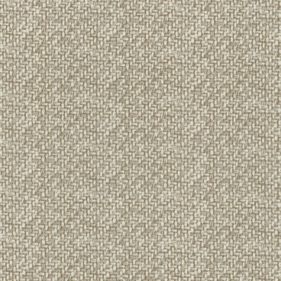 P K Lifestyles TBO Tampico Natural in Outdoor Dec. 2018 Beige  Blend Outdoor Textures and Patterns  Fabric