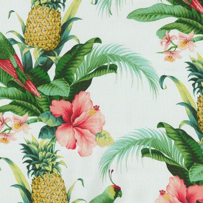 P K Lifestyles TBO Beach Bounty Lush Green in PKL Outdoor Dec. 15 Green  Blend Birds and Feather  Fruit  Fun Print Outdoor  Fabric
