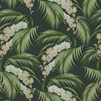 P K Lifestyles Orchid Haven Cavier in Design by Nature II Black  Blend Classic Tropical   Fabric