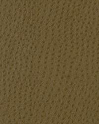 Baby Ostrich Cashew by  Robert Allen 