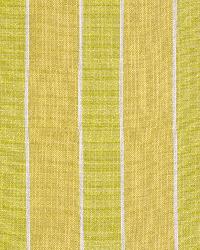 Myron Stripe Sun by  Robert Allen 