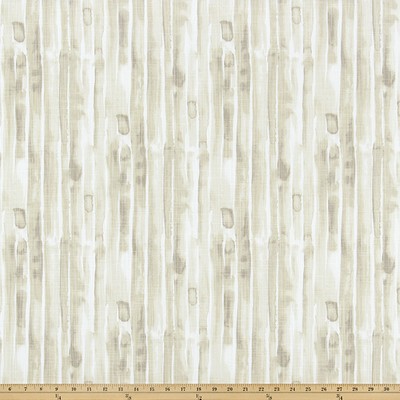 Premier Prints Amelie Cocoa Milk Luxe Canvas in Luxe Canvas Beige Cotton  Blend Striped   Fabric