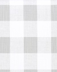 Anderson French Grey Slub Canvas by  Premier Prints 