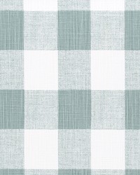 Anderson Waterbury Slub Canvas by  Premier Prints 