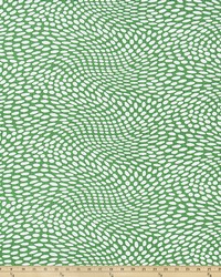 Arnava Cool Green Luxe Canvas by  Premier Prints 