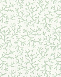 Barrier Reef Pistachio Slub Canvas by   