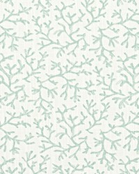 Barrier Reef Silver Springs Slub Canvas by   