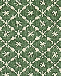 Benny Fir Florence Natural by   