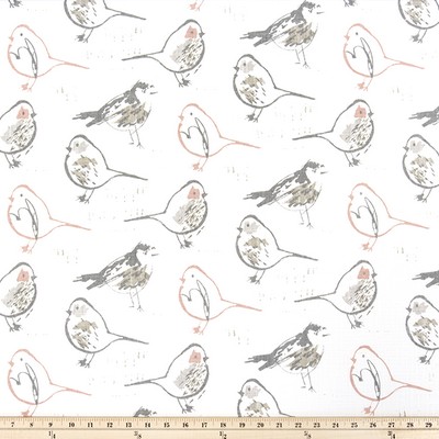 Premier Prints Bird Toile Blush Slub Canvas in Chinoiserie Pink cotton  Blend Birds and Feather  Oriental   Fabric
