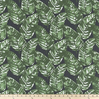 Premier Prints Costa Rica Black Flame in SLUBCANVAS Black cotton  Blend Tropical  Leaves and Trees   Fabric