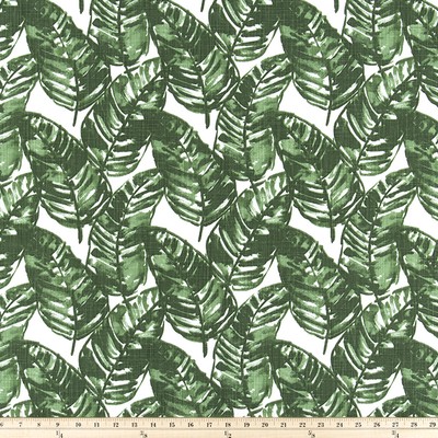 Premier Prints Costa Rica Pine in SLUBCANVAS Green cotton  Blend Leaves and Trees  Tropical   Fabric