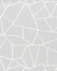 Cut Glass French Grey Slub Canvas by   