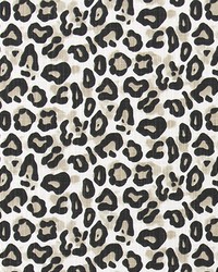 Dayo Gobi Slub Canvas by   