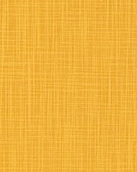 Faulkner Brazilian Yellow Slub Canvas by   
