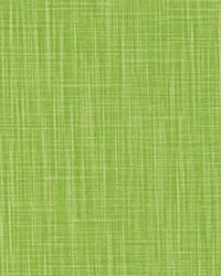 Faulkner Courtyard Green Slub Canvas by   