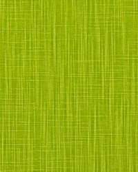 Faulkner Chartreuse Slub Canvas by   