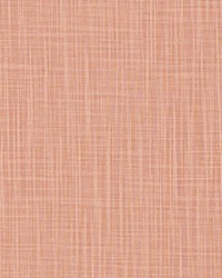 Faulkner Clay Slub Canvas by   