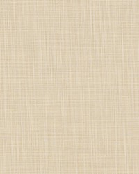 Faulkner Coco Milk Slub Canvas by   