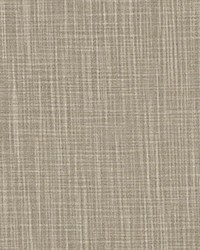 Faulkner Ecru Slub Canvas by   