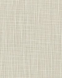Faulkner French Grey Slub Canvas by   