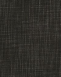 Faulkner Ink Slub Canvas by   