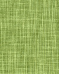 Faulkner Kale Slub Canvas by   