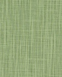 Faulkner Sage Slub Canvas by   