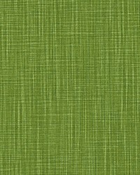 Faulkner Sheen Slub Canvas by   